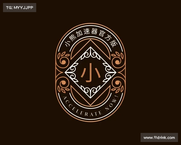 认识小熊加速器官方版